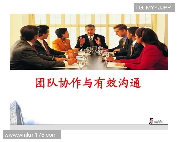 上海排球队的意识与团队协作探讨:提升竞技水平的新视角