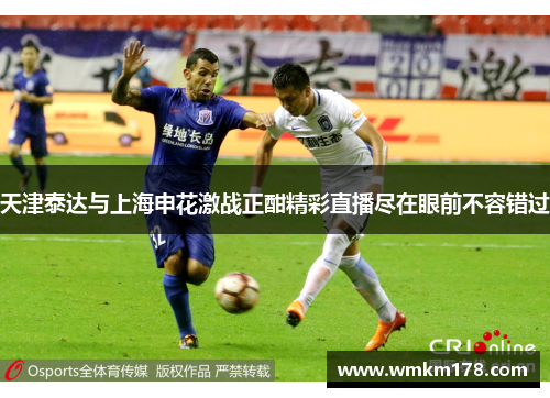 天津泰达与上海申花激战正酣精彩直播尽在眼前不容错过
